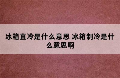 冰箱直冷是什么意思 冰箱制冷是什么意思啊